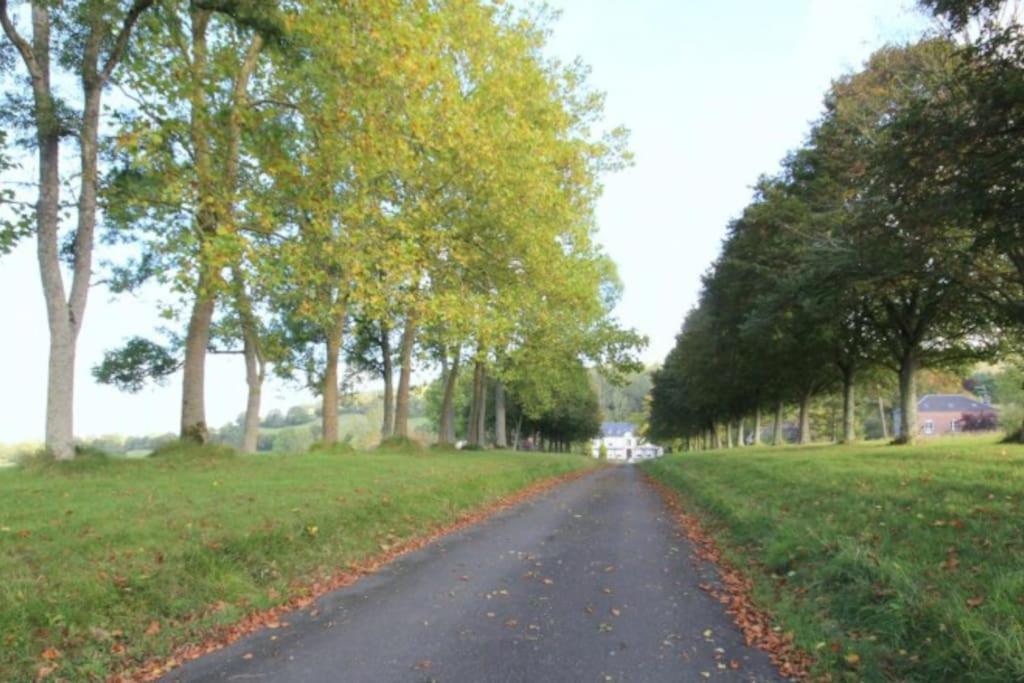 La Maisonnette Saint-Pierre-en-Auge Extérieur photo